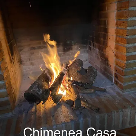 Paz *
